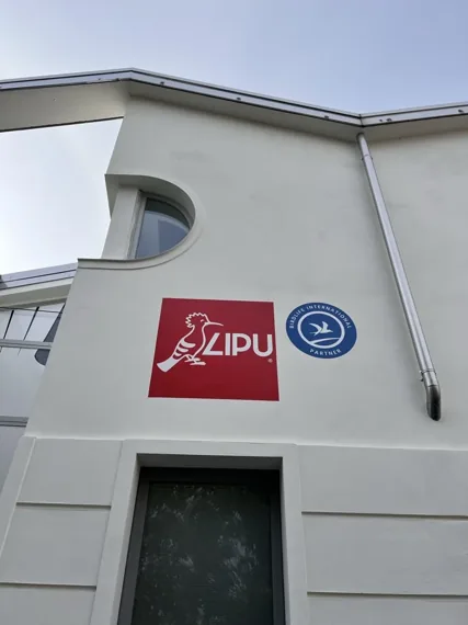 Adesivo Murale Esterno